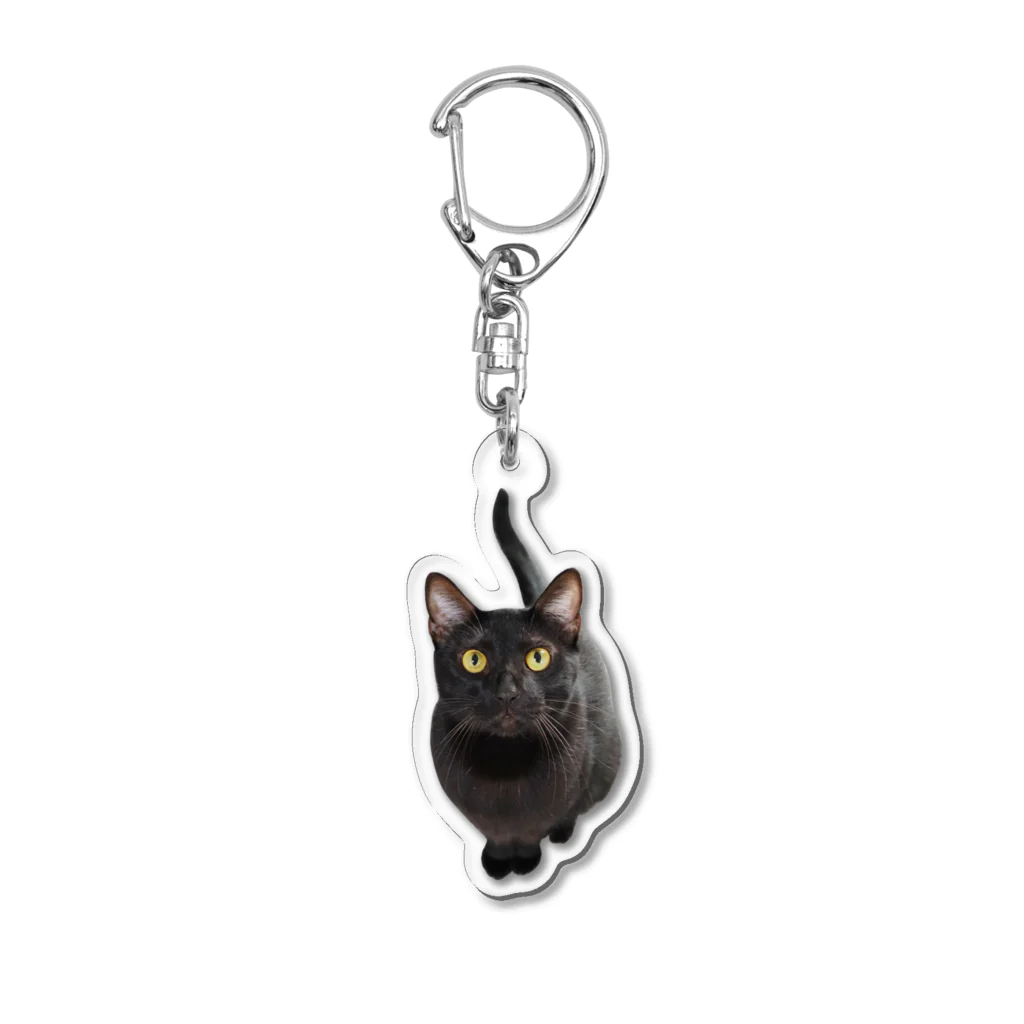 あこねこのお店のクロネコさん Acrylic Key Chain