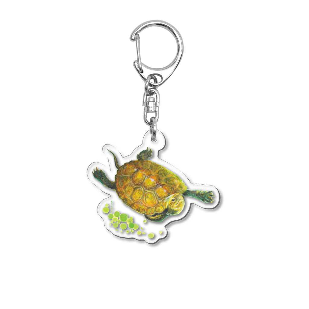 めろんぽっぷのお店だよの泳いできたよ、ニホンイシガメ Acrylic Key Chain