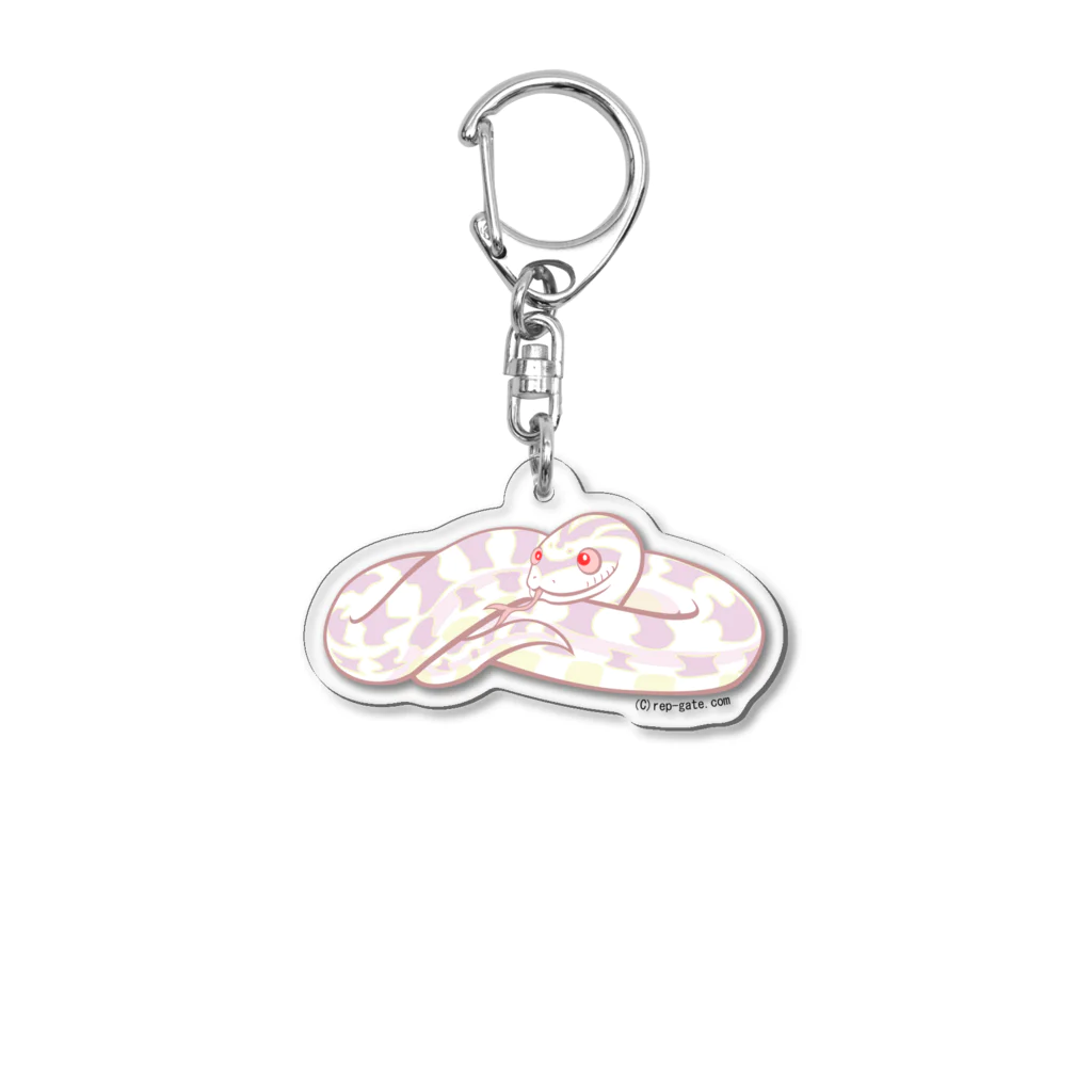 もむのふの爬虫類グッズやさんのコ－ンスネーク（スノー）アクキー Acrylic Key Chain