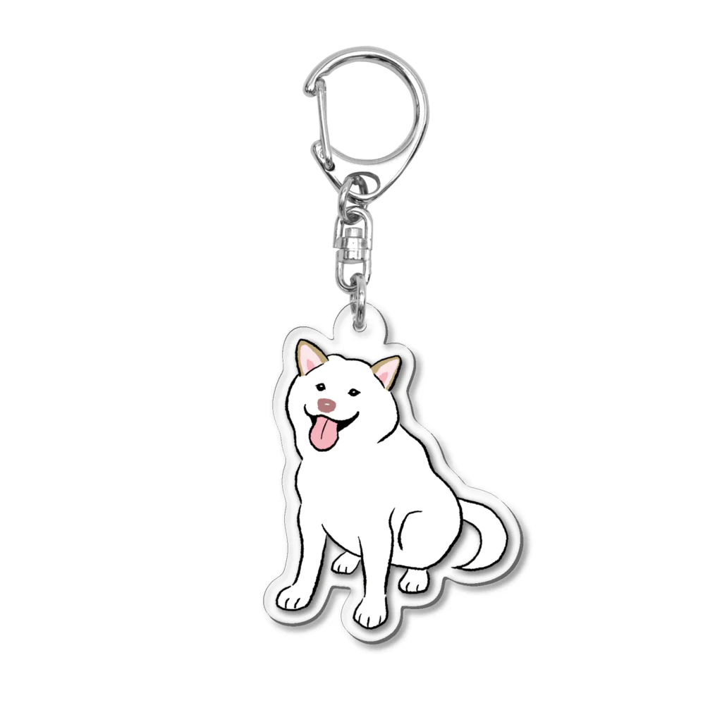 【限定品】 / おすわり白柴 絵描き )のアクリル chippoke ( yoko あみぐるみ