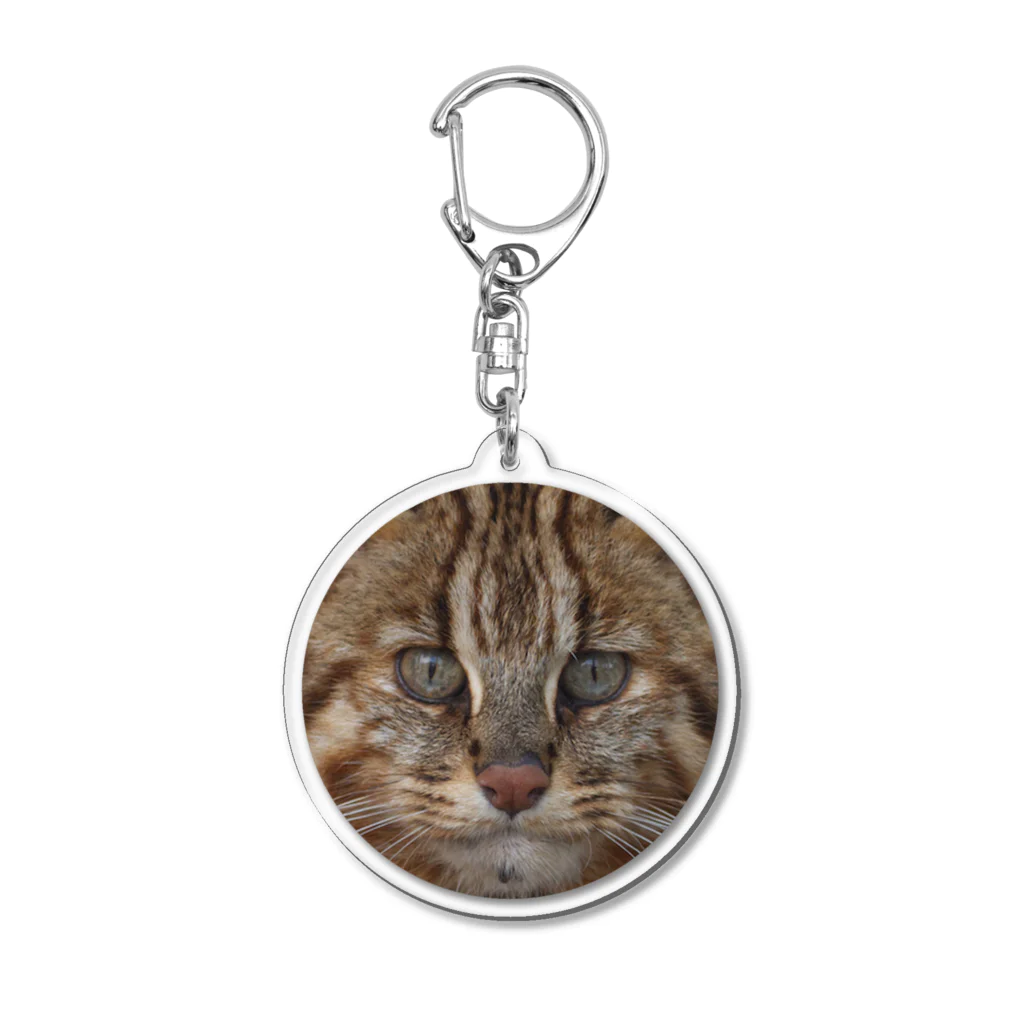 やまねこショップSUZURI支店のシンゲンアクリルキーホルダー Acrylic Key Chain