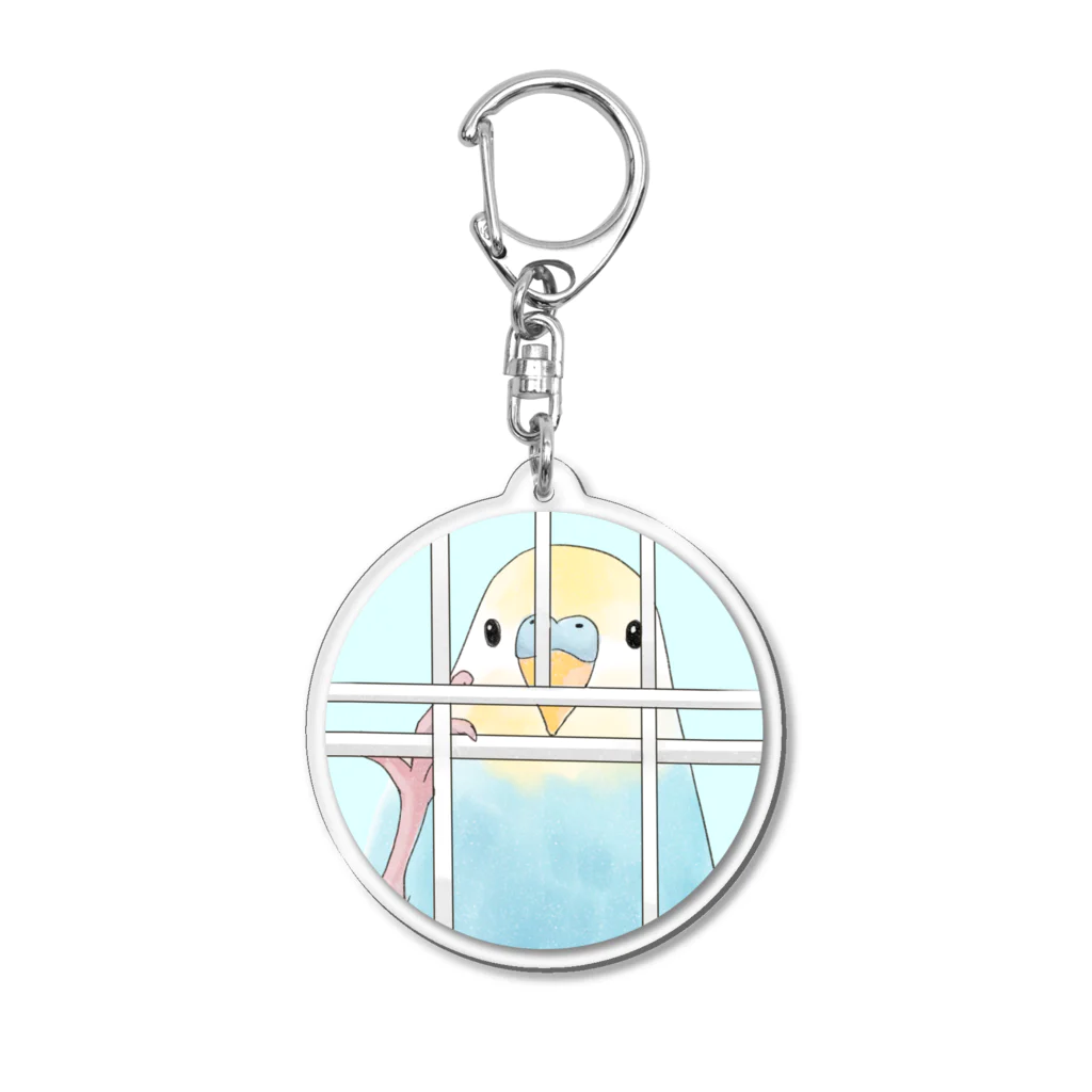 まめるりはことりの可愛いのぞき見セキセイインコちゃん【まめるりはことり】 Acrylic Key Chain