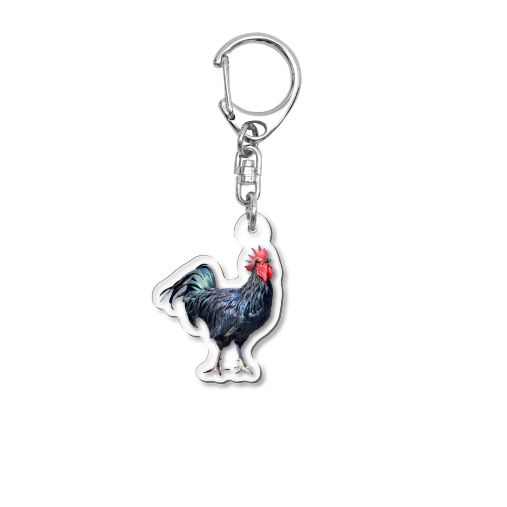 accoco1204のトウマルのヨシオくん Acrylic Key Chain