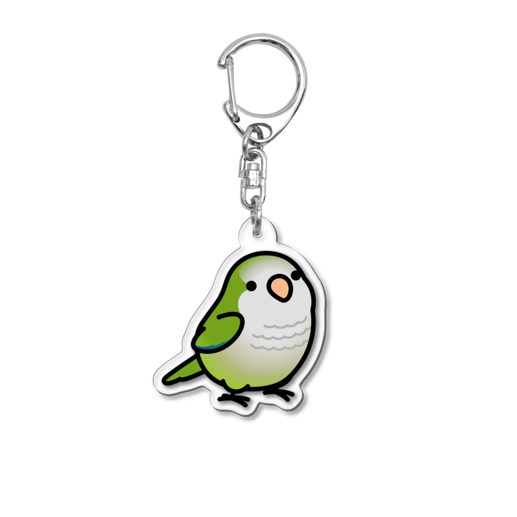 Cody the LovebirdのChubby Bird オキナインコ Acrylic Key Chain