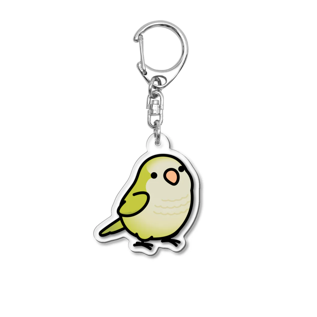 Cody the LovebirdのChubby Bird オキナインコ Acrylic Key Chain