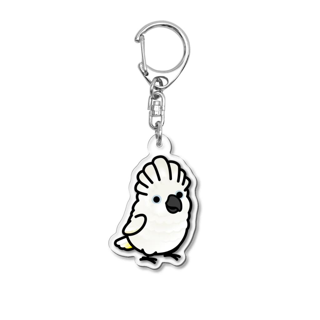 Cody the LovebirdのChubby Bird タイハクオウム アクリルキーホルダー