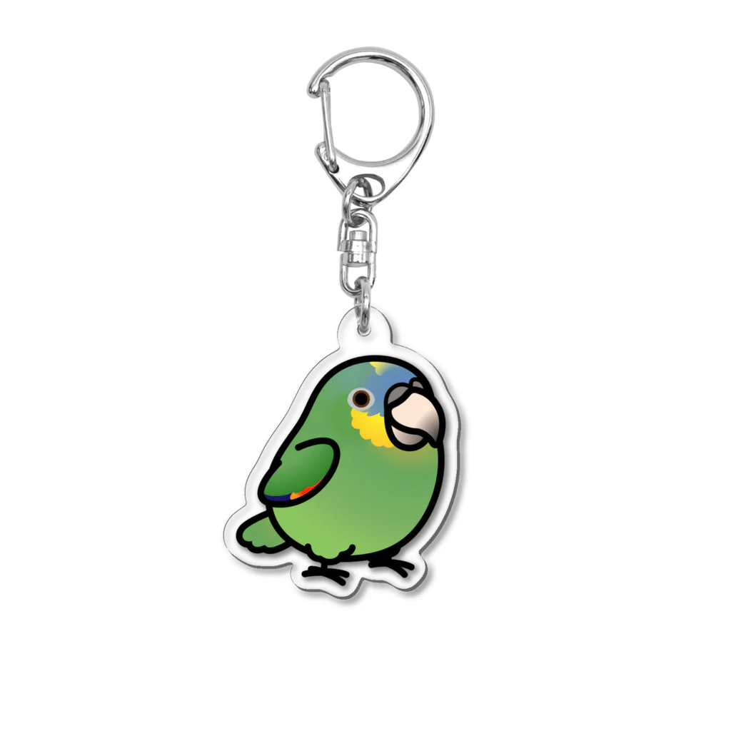 Cody the LovebirdのChubby Bird キソデボウシインコ アクリルキーホルダー