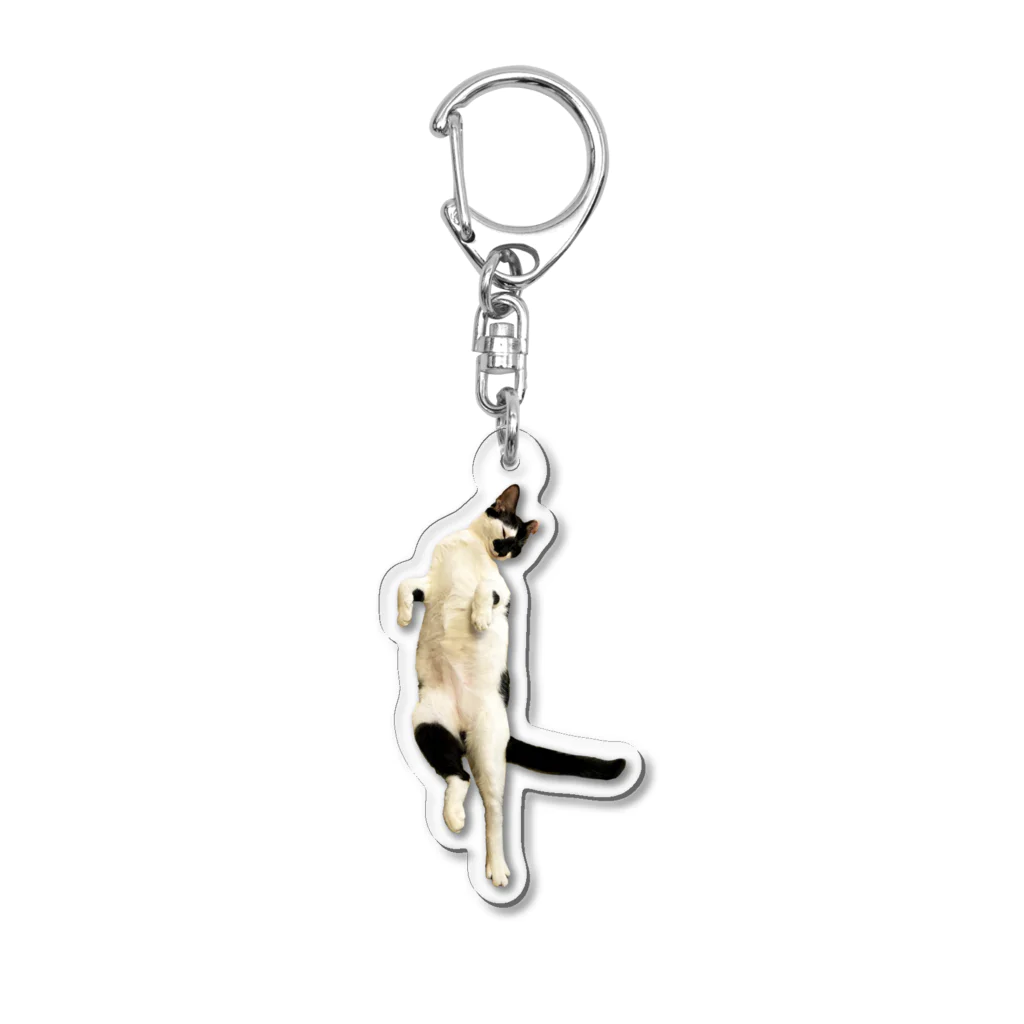 猫とムシの酔拳クロム Acrylic Key Chain