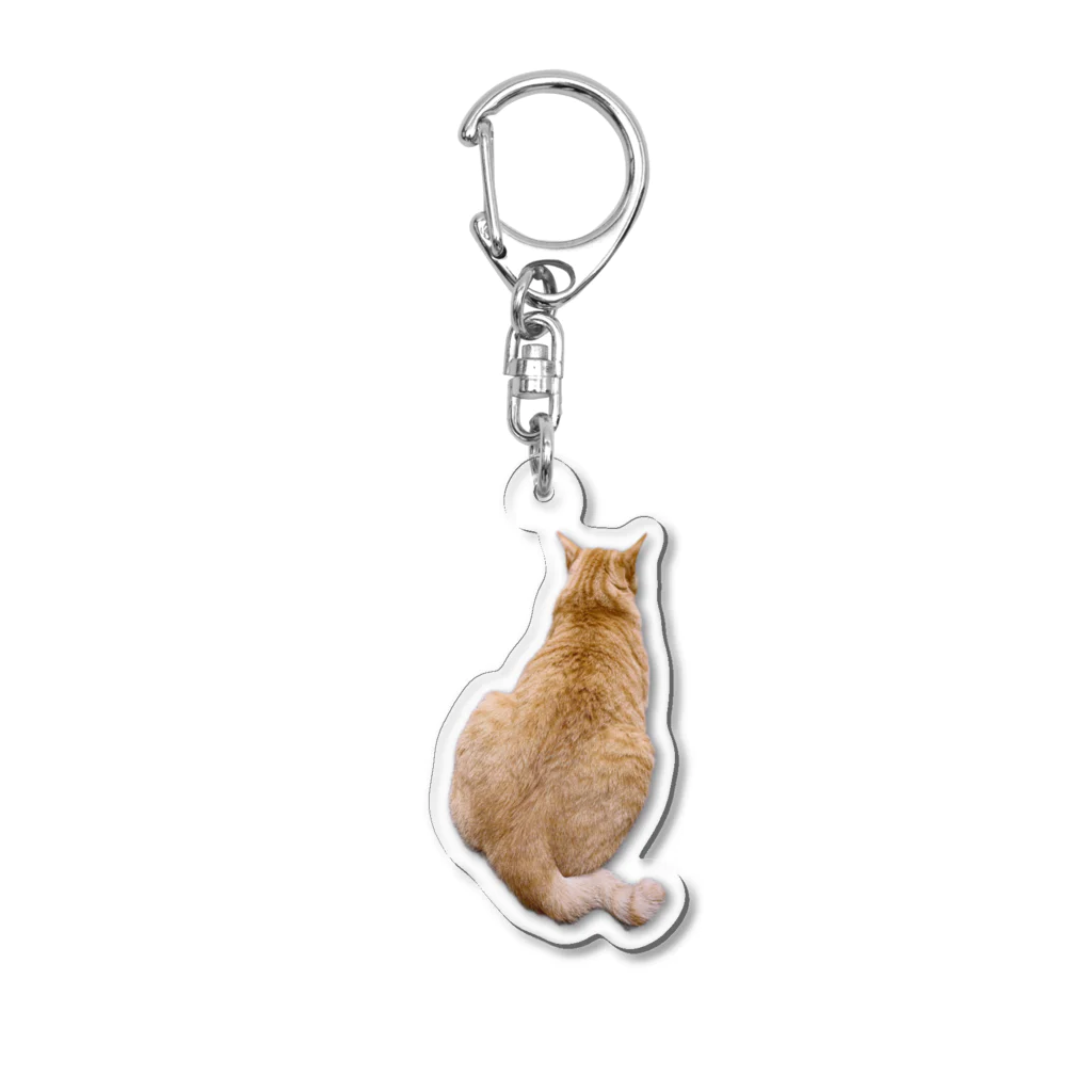 ♡はまだのにゃんこたち♡のぜっと君のもの言いたげな姿 Acrylic Key Chain