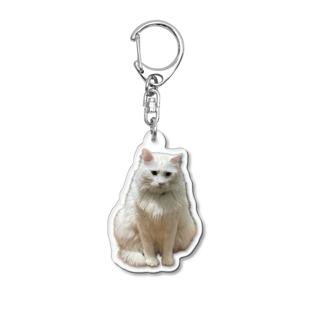 zakitamaのうちのしどちゃん Acrylic Key Chain