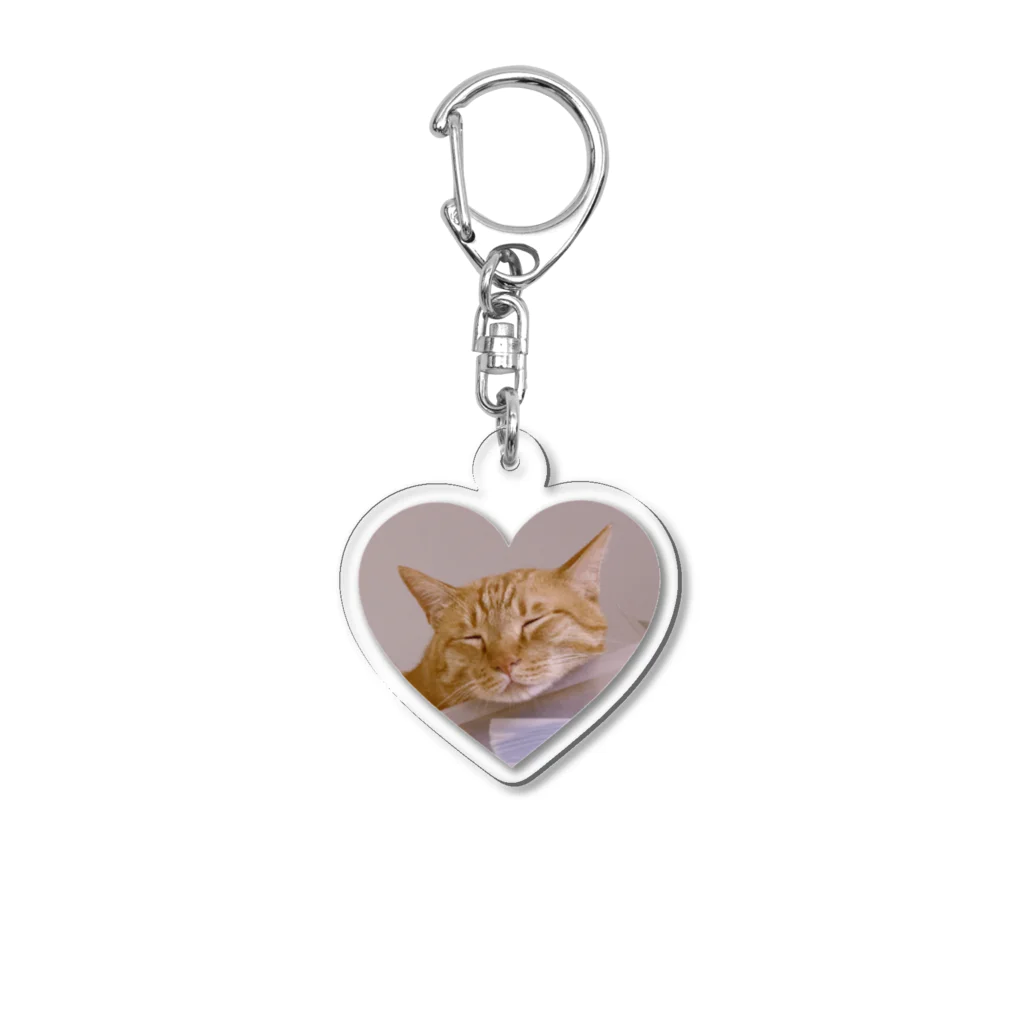 ♡はまだのにゃんこたち♡のすやすやぜっと君 Acrylic Key Chain