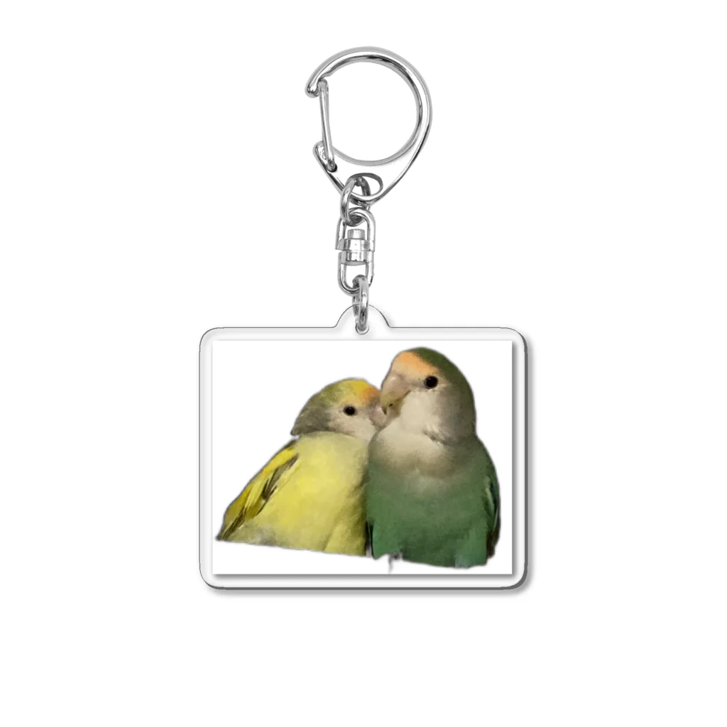 クレーンゲームのコザクラインコ ベビちゃん アビちゃん Acrylic Key Chain