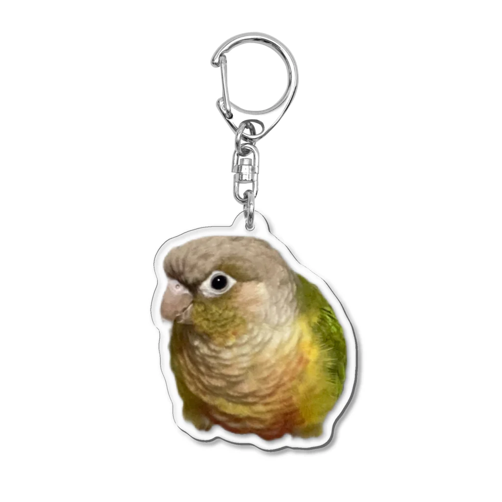 クレーンゲームのホオミドリアカオウロコインコ パインちゃん Acrylic Key Chain