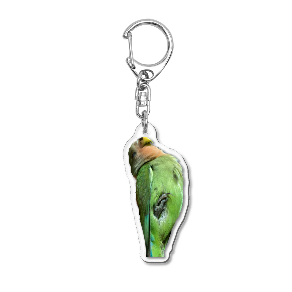 クレーンゲームのコザクラインコ Acrylic Key Chain