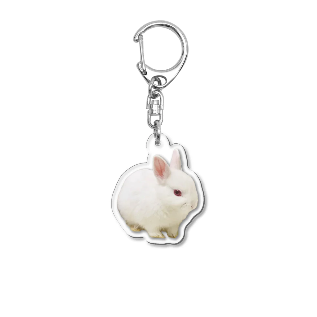 ふゆじかん/chamのベビふゆちゃん Acrylic Key Chain