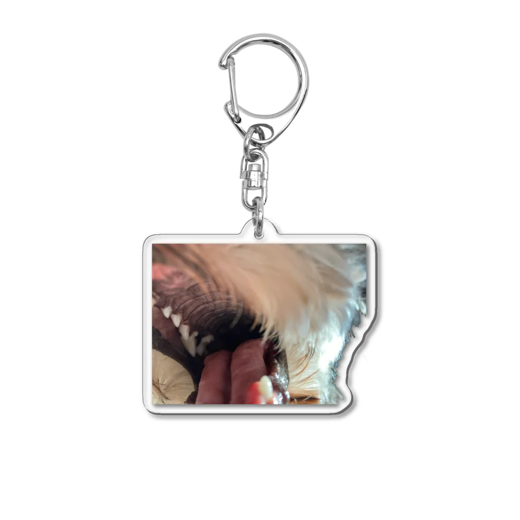 ボーダーラインのうちの犬 Acrylic Key Chain