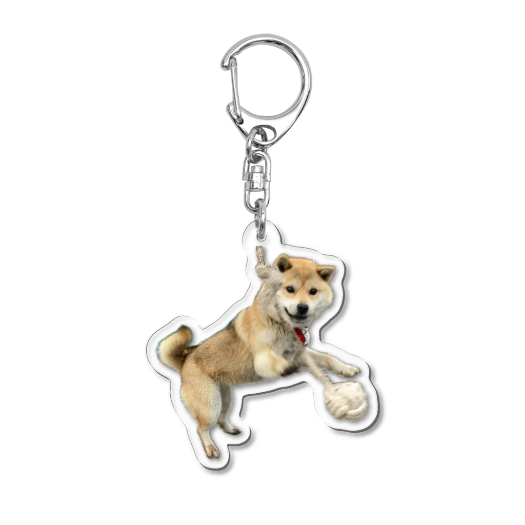 33/96の柴犬まる子(ロープ遊び) Acrylic Key Chain