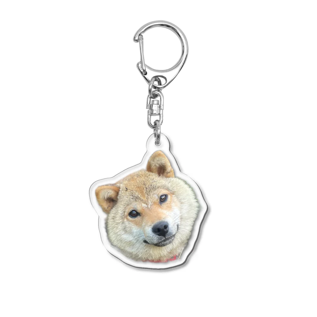 33/96の柴犬まる子(夏毛/首かしげ) Acrylic Key Chain