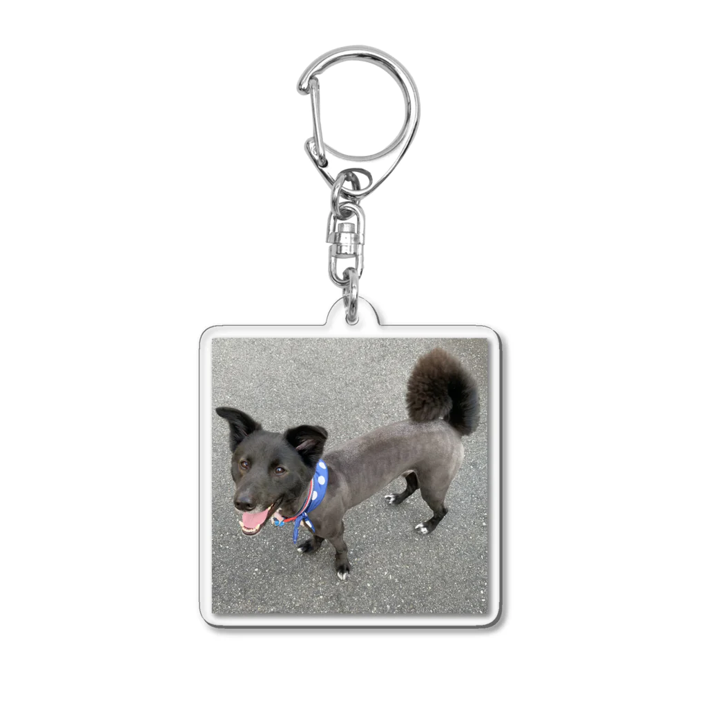 愛犬ラックのお店やさんの愛犬ラックのつるつる Acrylic Key Chain