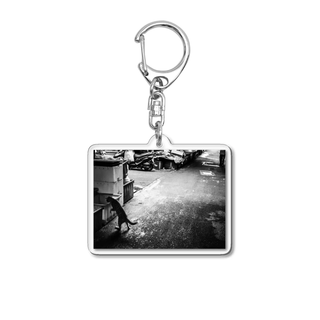 TackのA stray cat Acrylic Key Chain