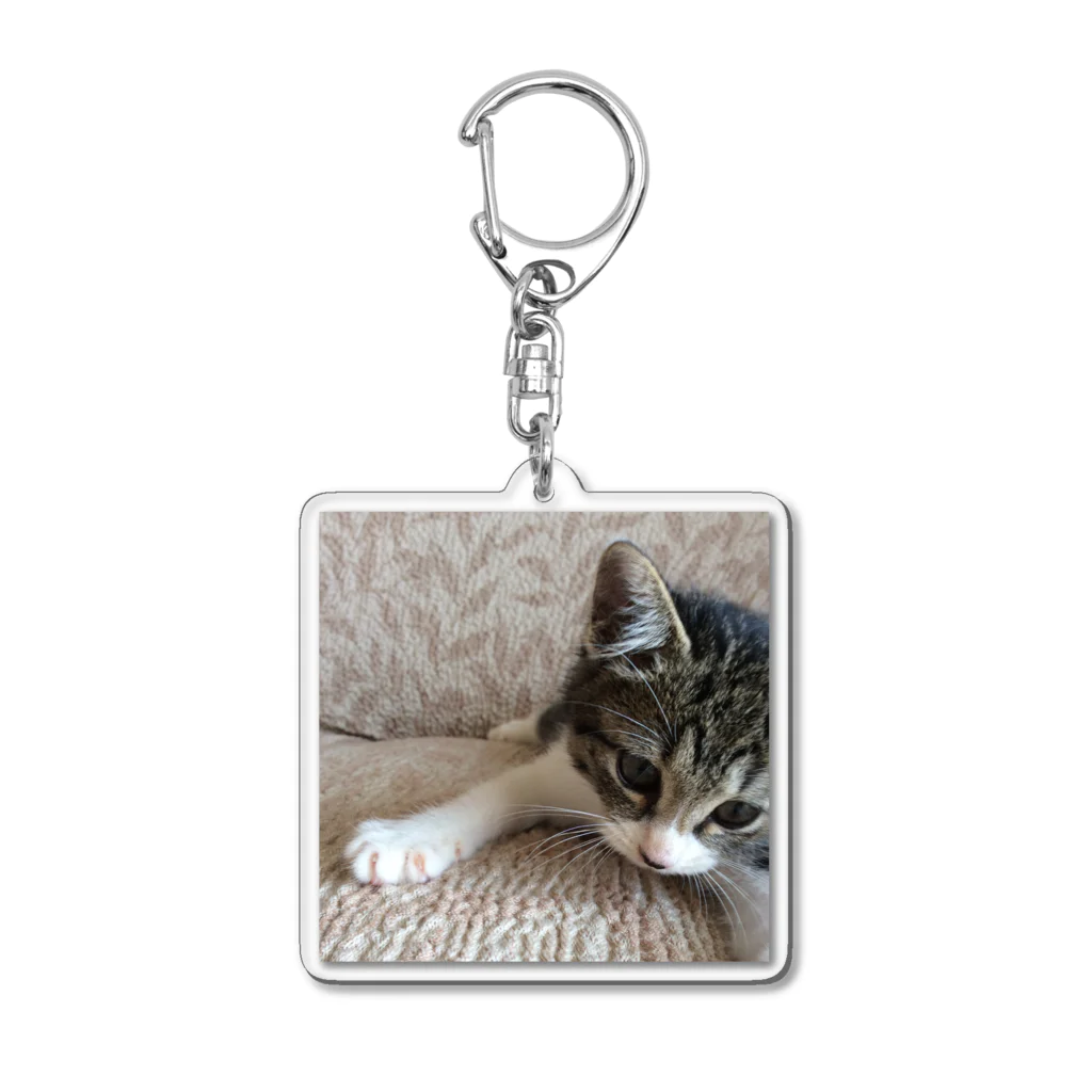 南の島のにゃんこのこねこのパル～南の島のにゃんこ～ Acrylic Key Chain