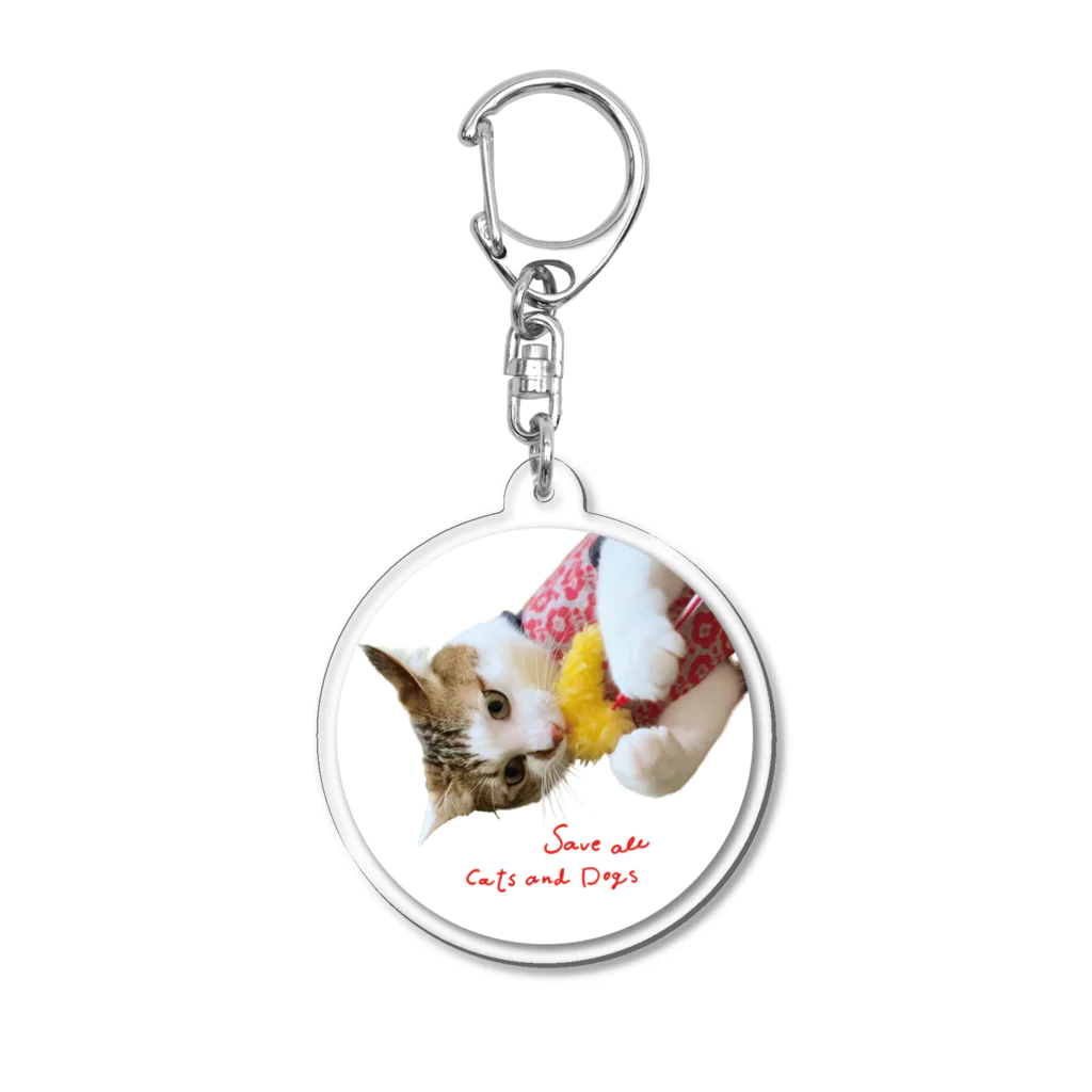 犬猫生活チャリティーショップのえびっこエース by musubiyori Acrylic Key Chain