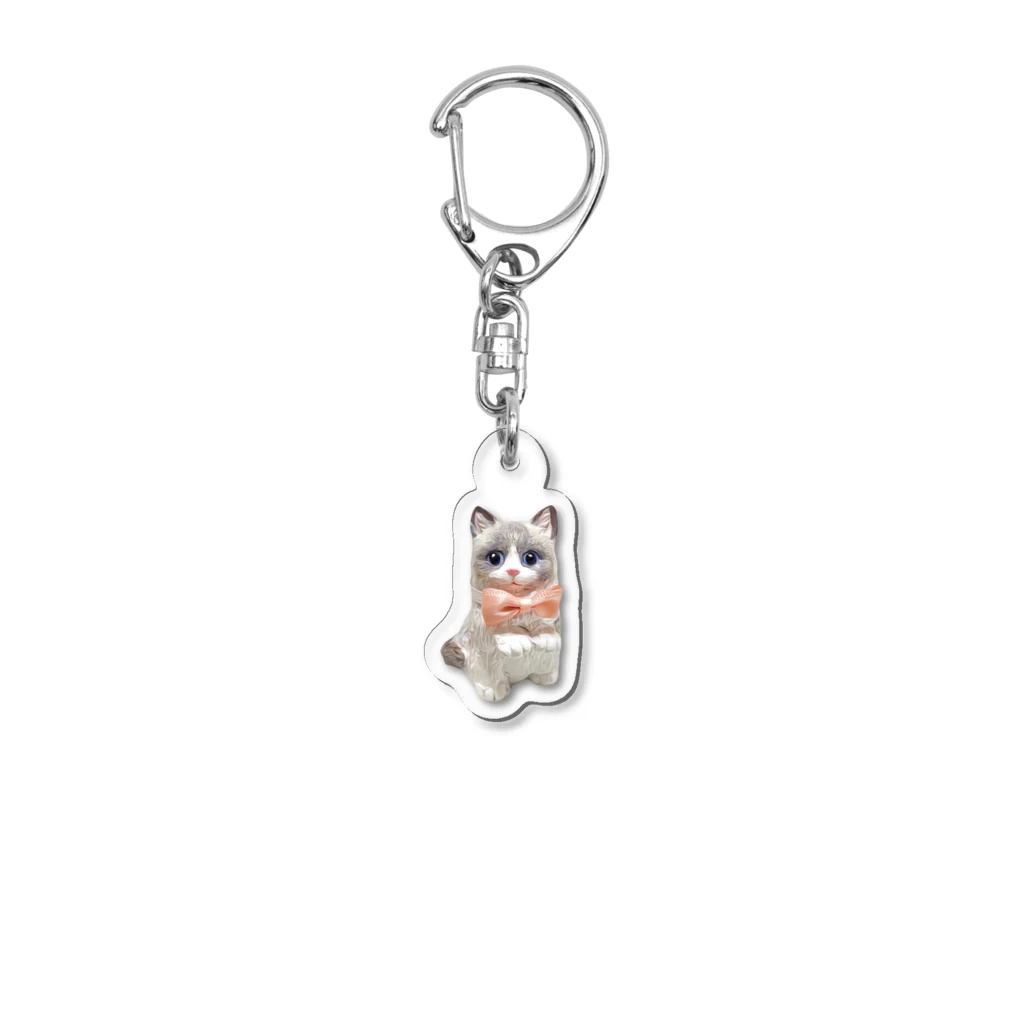 Original CATの【1匹】正面 Acrylic Key Chain