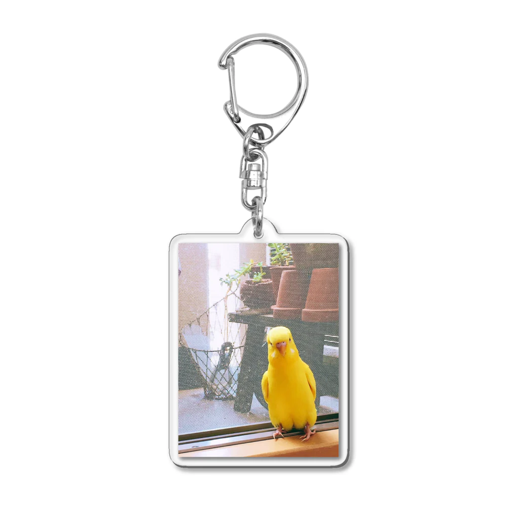 さかなサマーのうちのいんこ Acrylic Key Chain