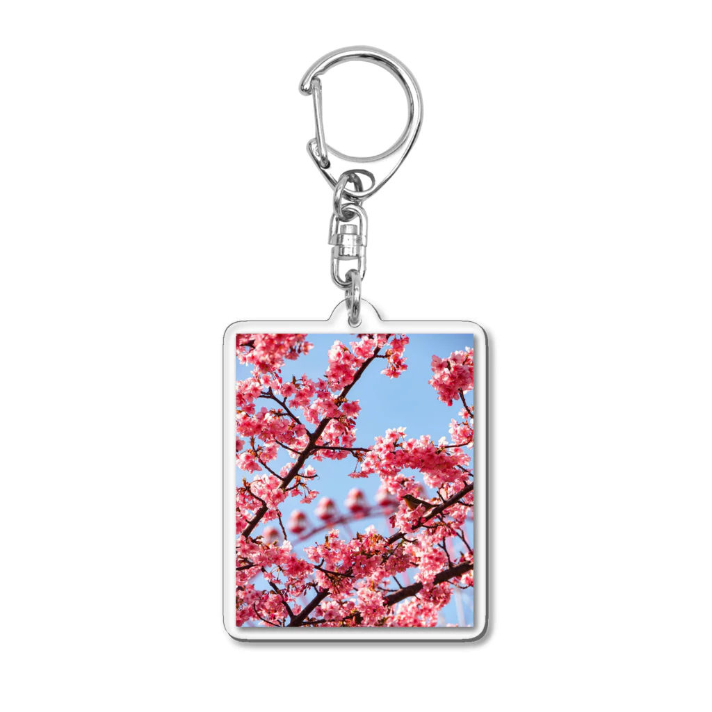 taka_1026のサクジローと観覧車 Acrylic Key Chain