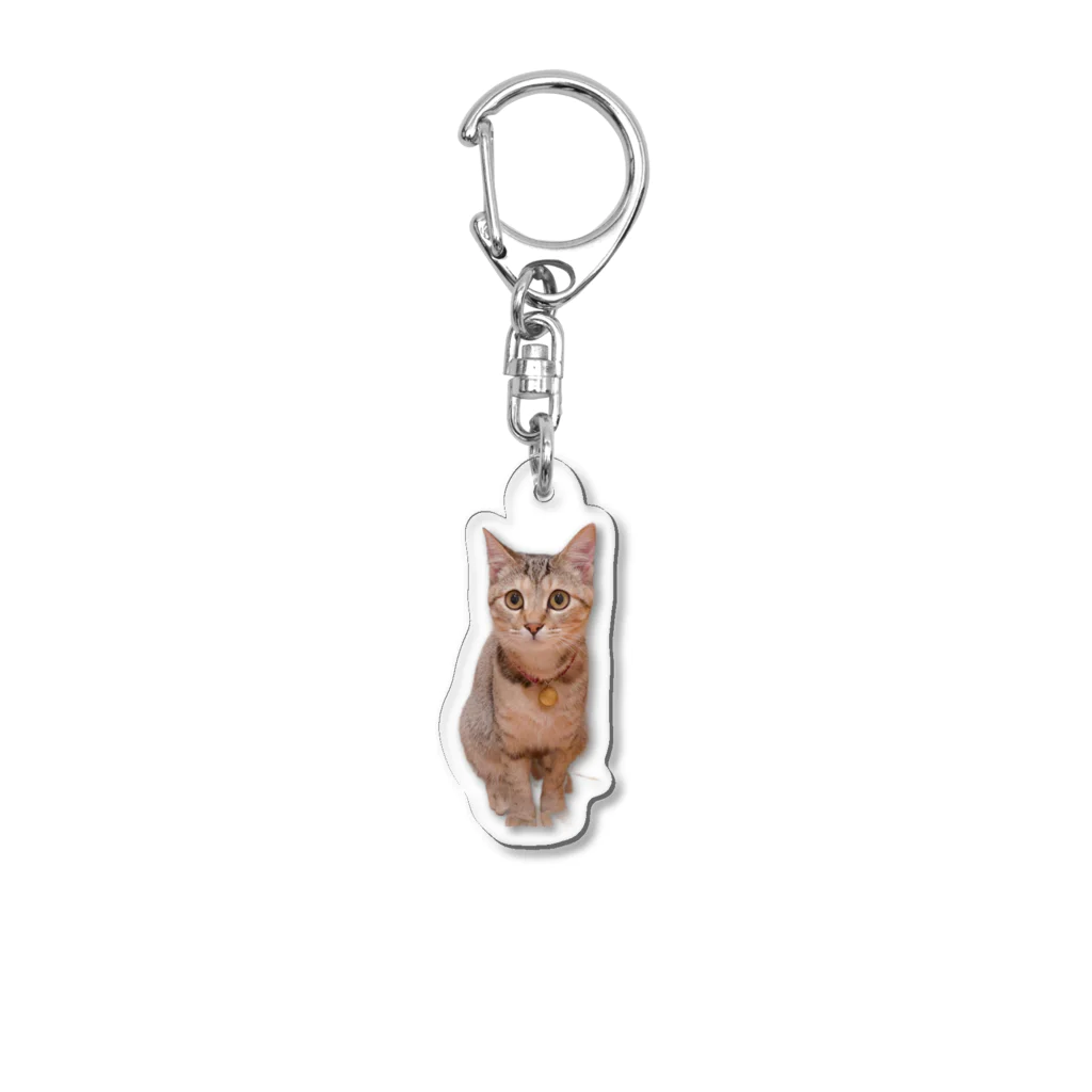 miy＊jamminのvivimvaちゃん Acrylic Key Chain