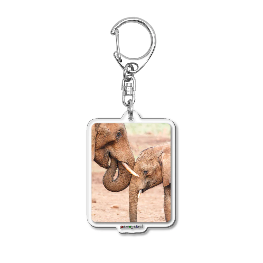 paweyetailのlove - link - life Acrylic Key Chain