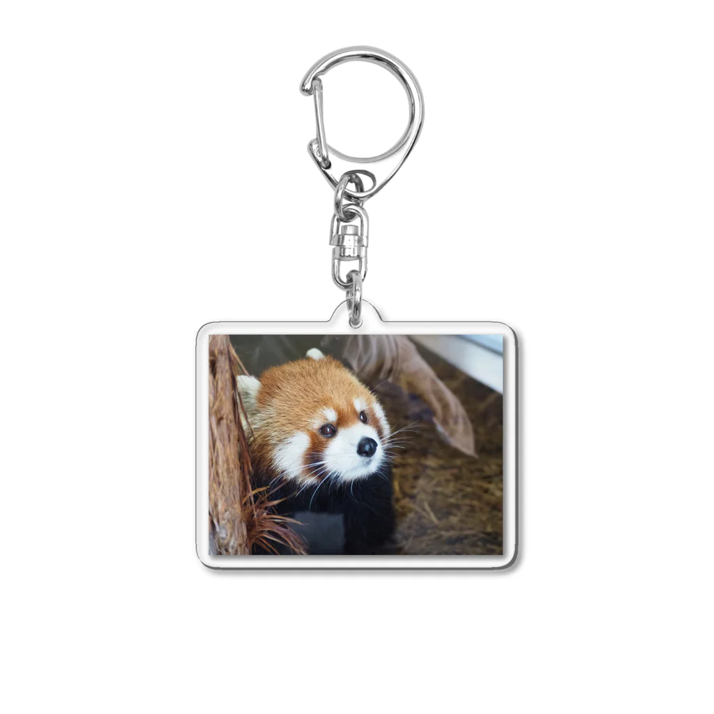 甘味処　甘甘のレッサーパンダ Acrylic Key Chain