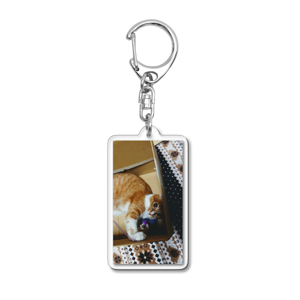 うちのねこ＆いぬのねことお気に入りのオモチャ Acrylic Key Chain