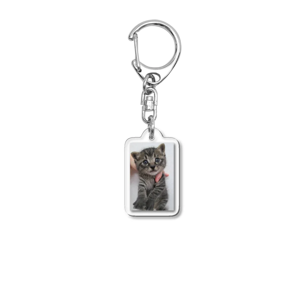 JacksanのDinah the cat Acrylic Key Chain