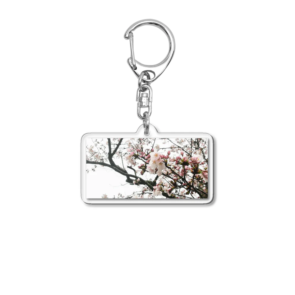 サボニャンSHOPの桜のアクリルキーホルダー Acrylic Key Chain