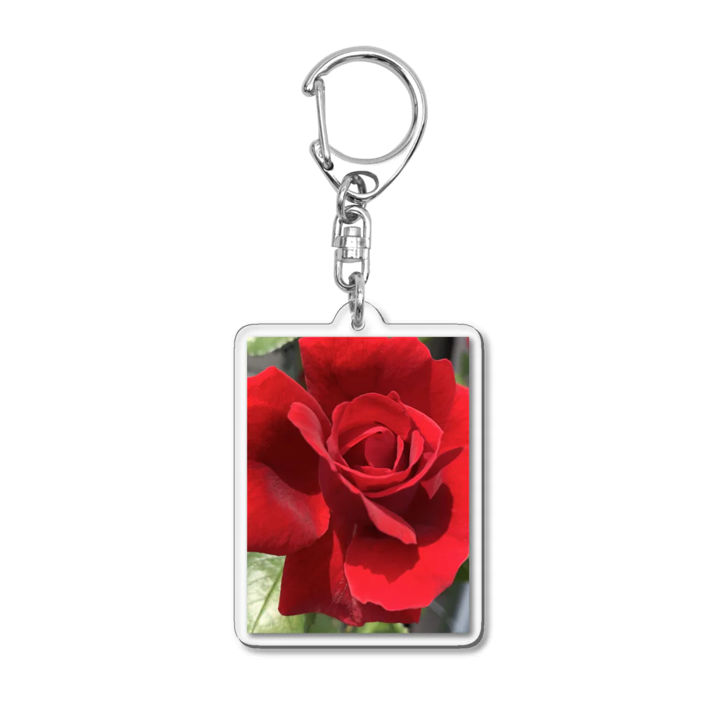 m(･∀･)の赤い薔薇 Acrylic Key Chain