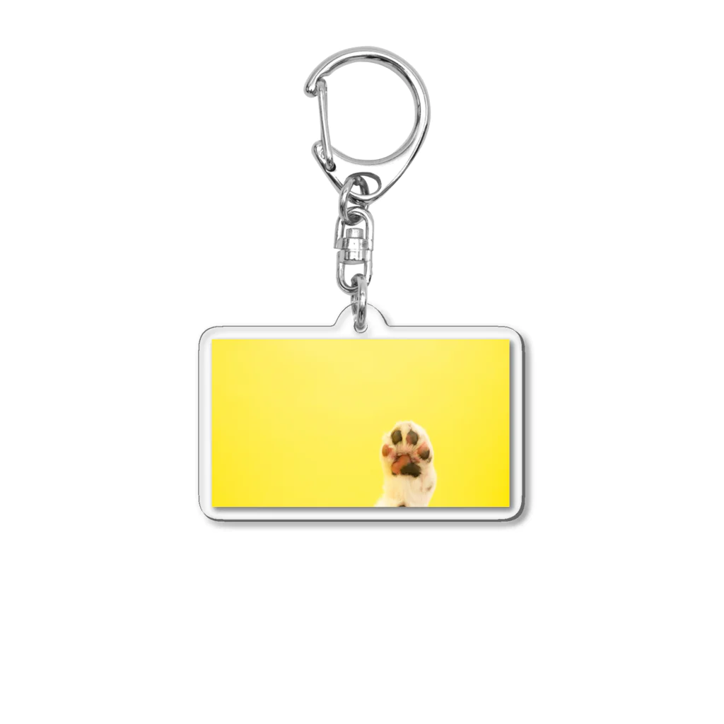 MellsaM 3.3のMellsaM 3.3 Acrylic Key Chain