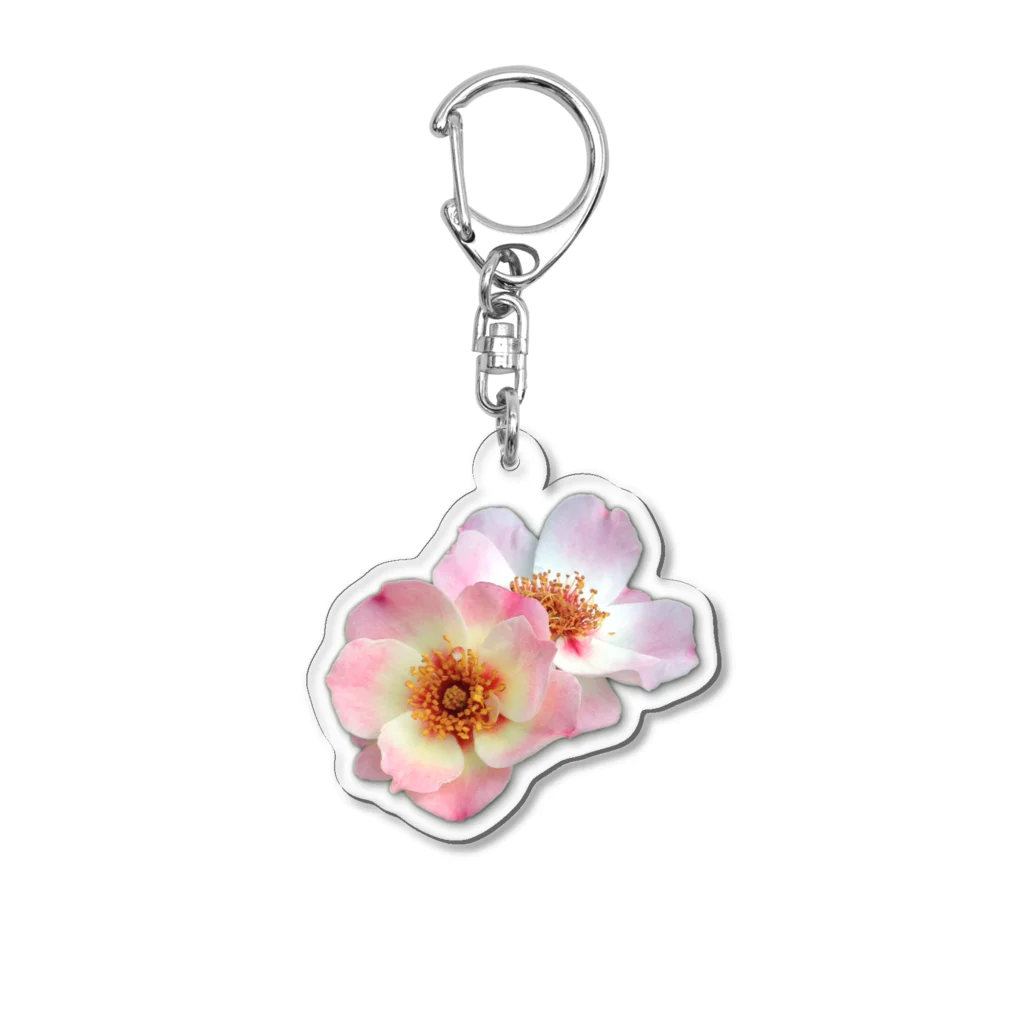 titikの花の写真を撮るのが好き Acrylic Key Chain