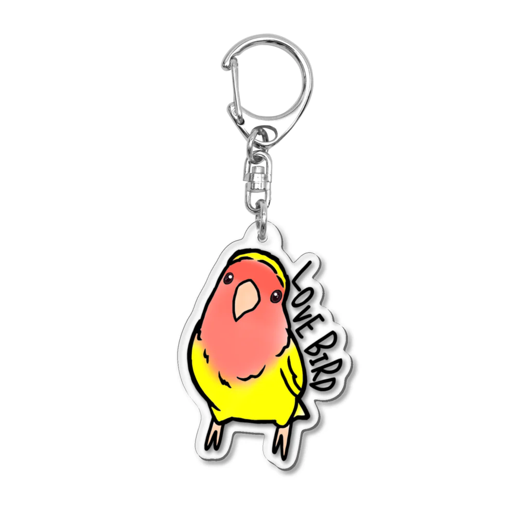 ぴのとま@の小首を傾げるコザクラインコ Acrylic Key Chain