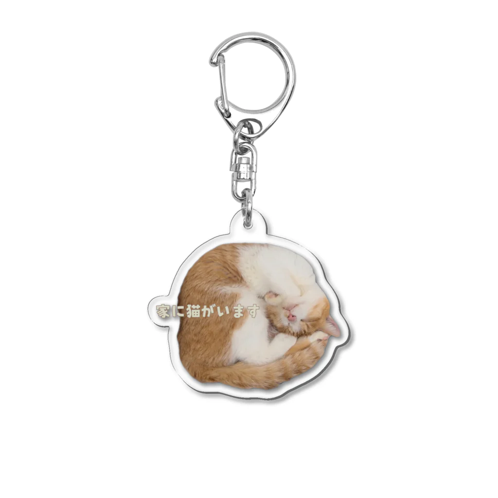 puca pucaの猫がいます Acrylic Key Chain