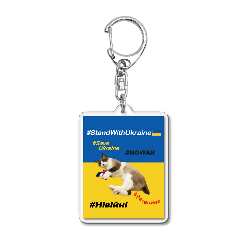 あんな日とか、こんな日とか。の#StandWithUkraineとポアンカレ氏 Acrylic Key Chain