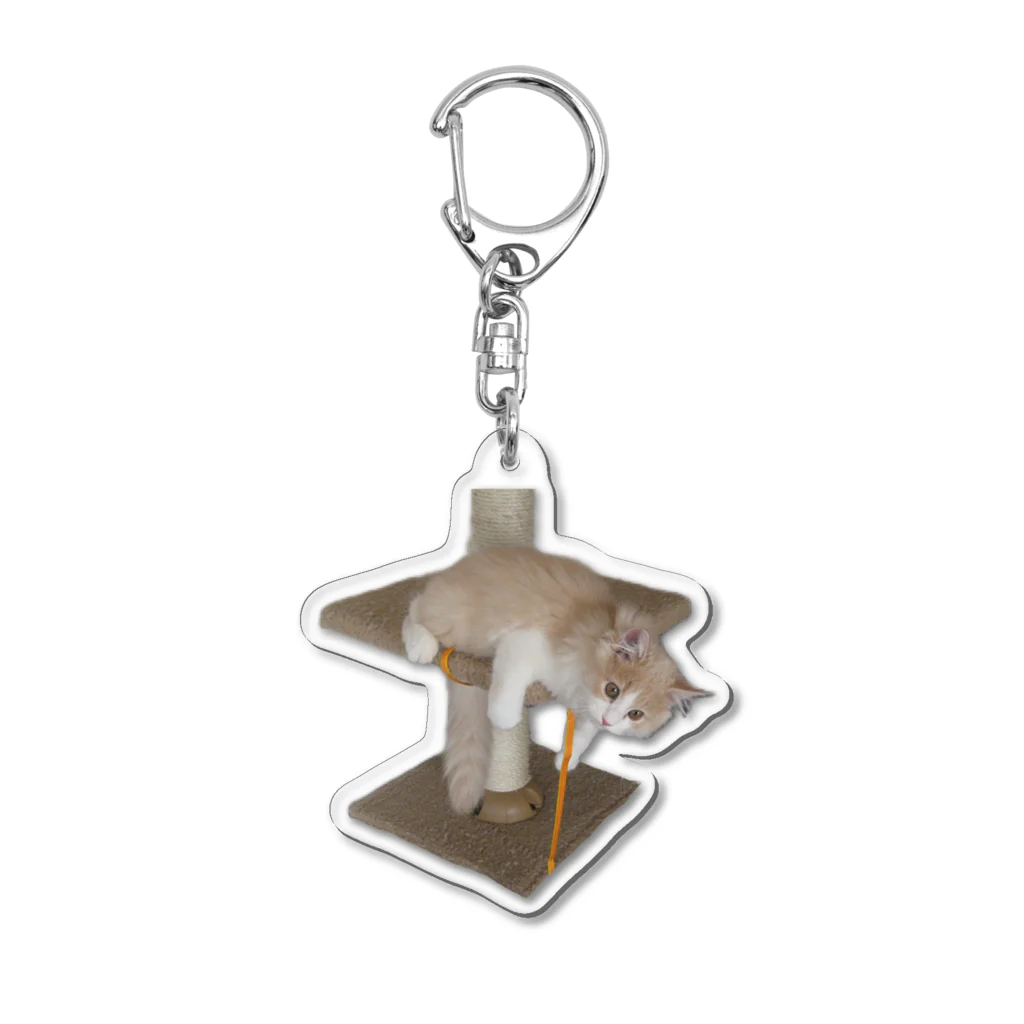 ねこ・ねこのぷーねこ Acrylic Key Chain