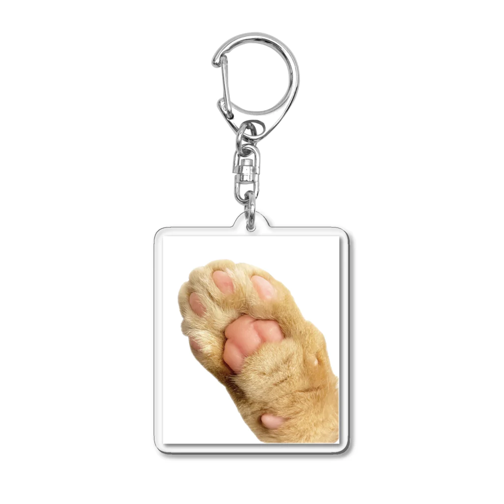 短足マンチカンのベビラテ の猫　肉球　猫の手 Acrylic Key Chain