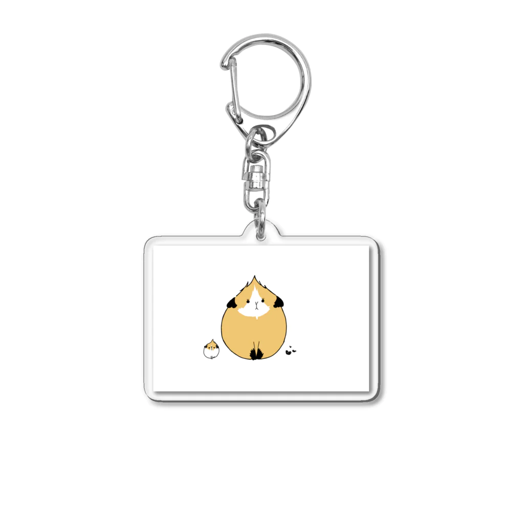 もるもっとのまん丸のモルモットのぷいちゃん Acrylic Key Chain