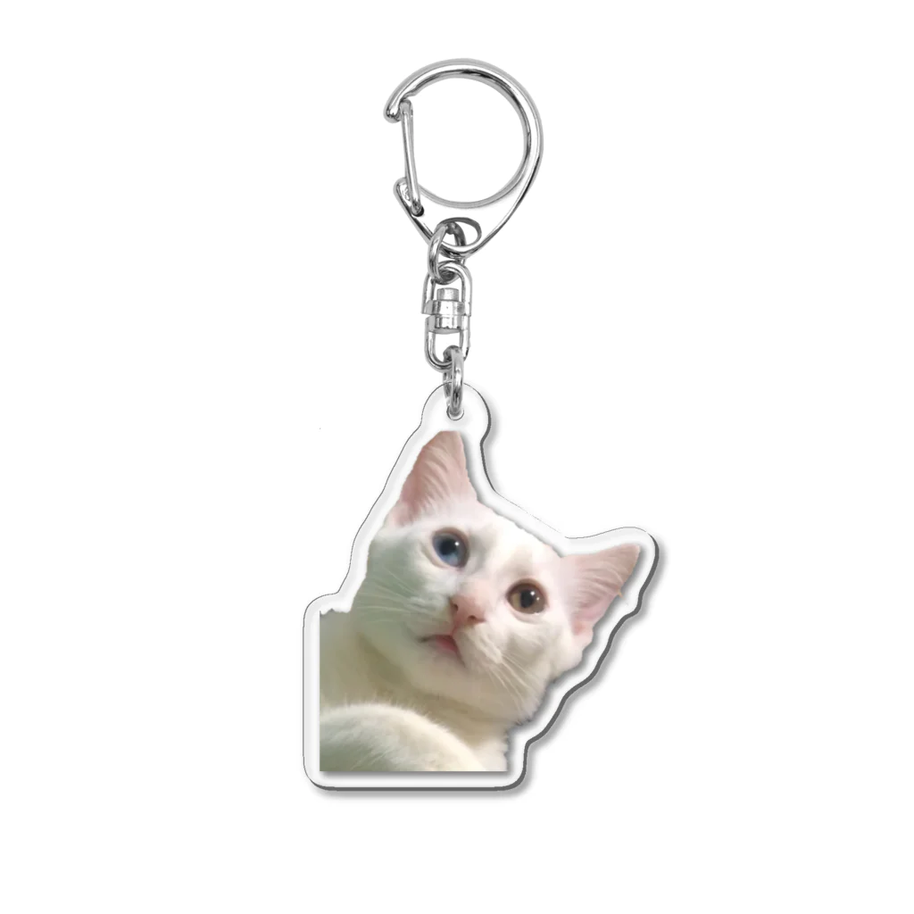 Primary clamの素数を数える猫キーホルダー Acrylic Key Chain