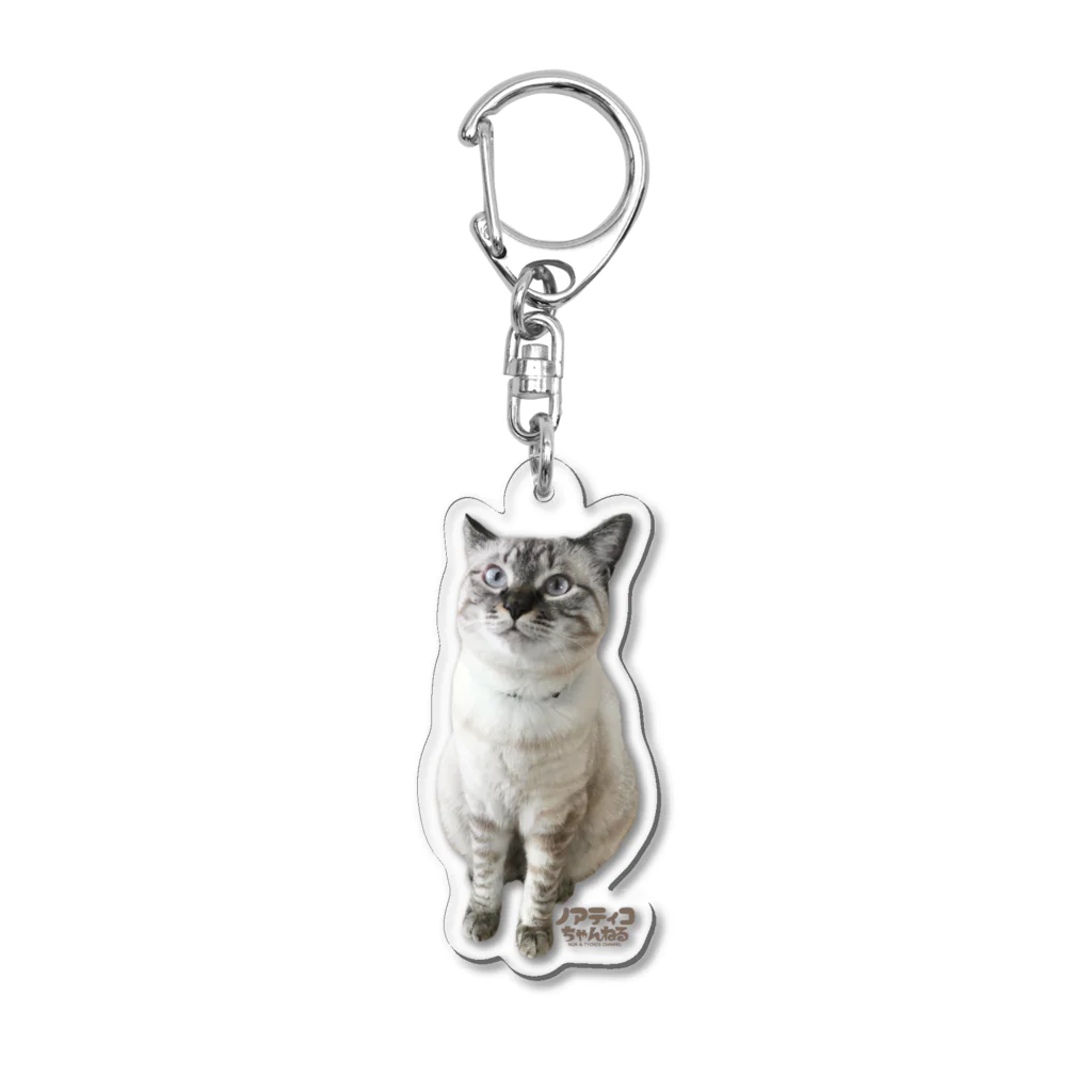 ノアティコSHOPのティコのたぬき顔リアルキーホルダー Acrylic Key Chain