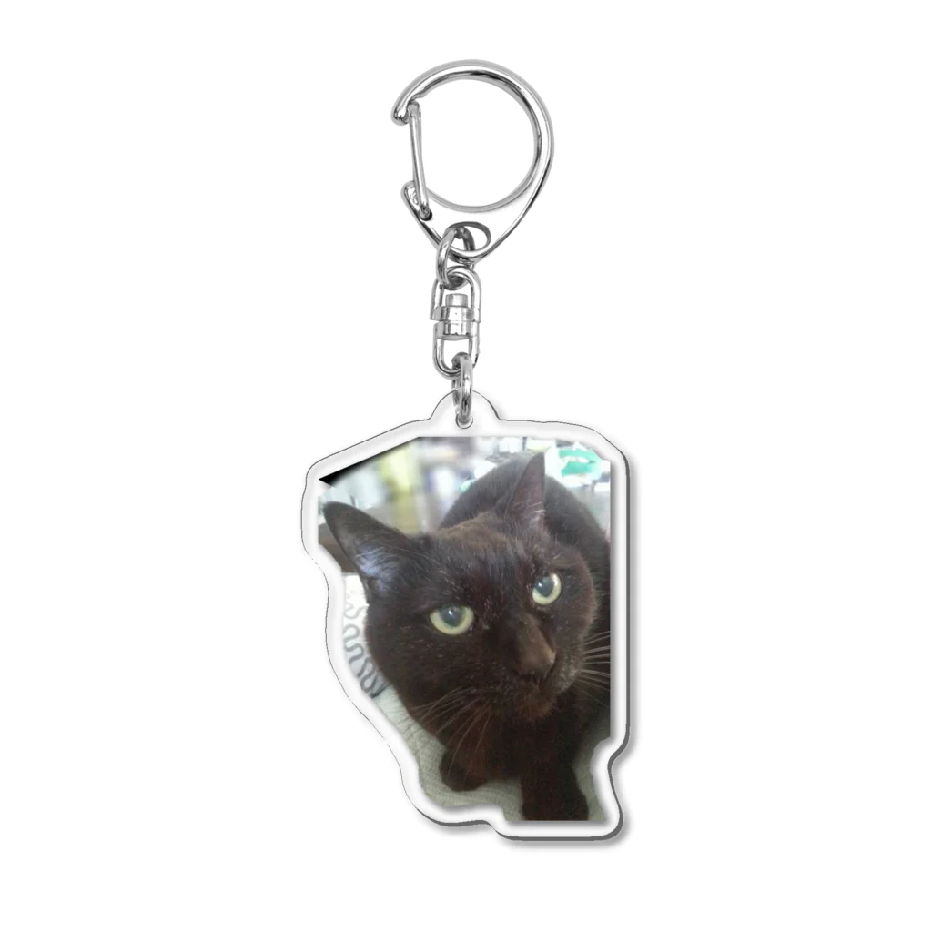 ねこネコ家族のレイ(A) Acrylic Key Chain