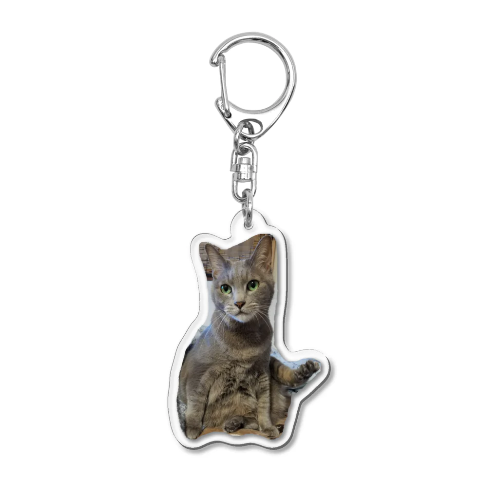 ねこネコ家族のルー(B) Acrylic Key Chain