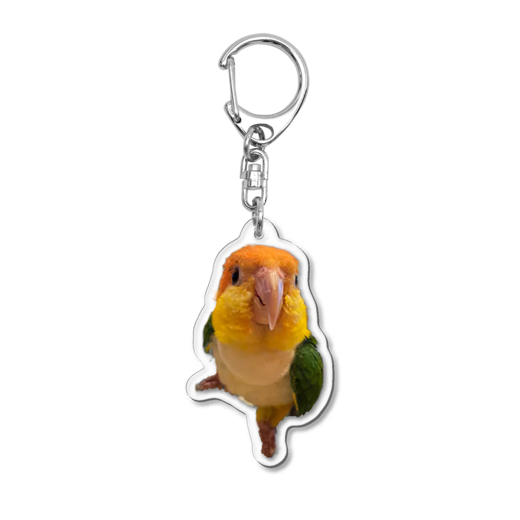 しばいっぬのおしりのちーゆグッズ Acrylic Key Chain