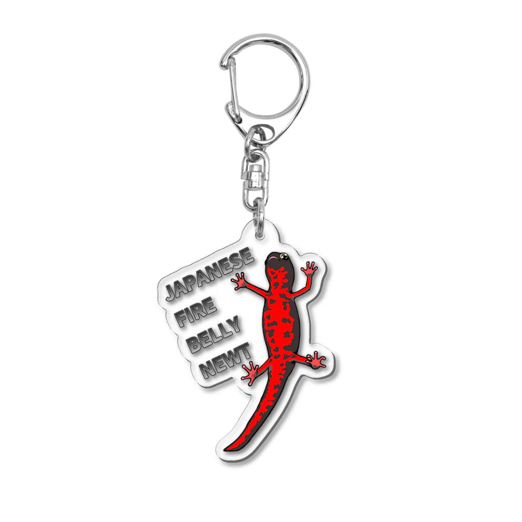 LalaHangeulのJAPANESE FIRE BELLY NEWT (アカハライモリ)　 Acrylic Key Chain